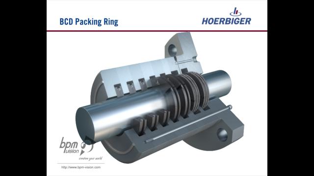 bpmvision hoerbiger bcd packing ring 01