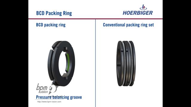 bpmvision hoerbiger bcd packing ring 03