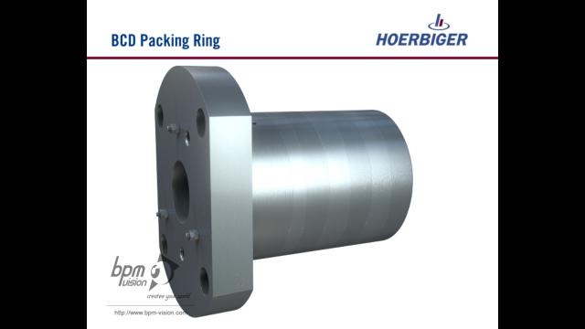 bpmvision hoerbiger bcd packing ring 04