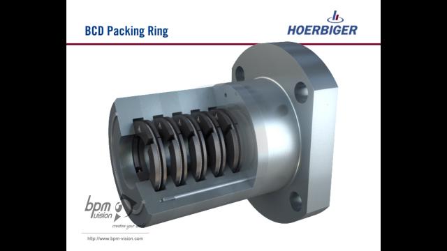 bpmvision hoerbiger bcd packing ring 05
