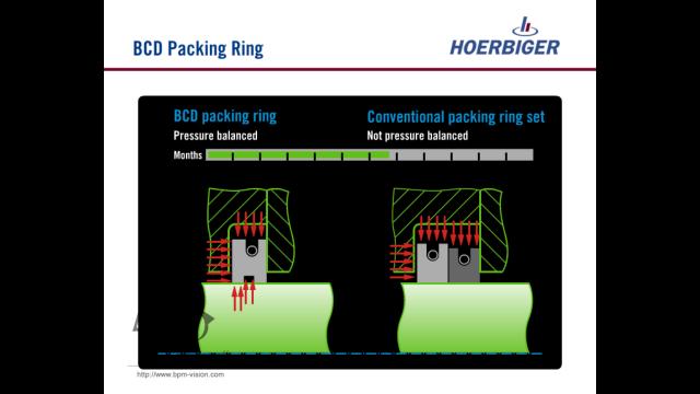 bpmvision hoerbiger bcd packing ring 06